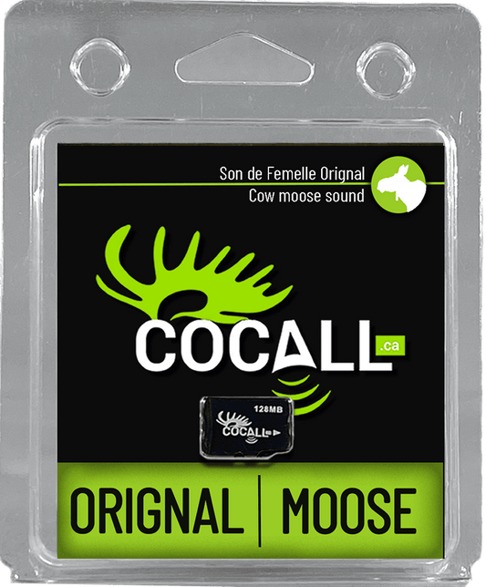 ORIGNAL FEMELLE / COCALL
