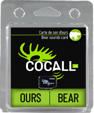 CARTE DE SONS D'OURS NOIR / COCALL