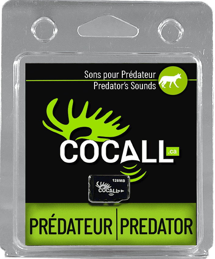 SONS POUR PRÉDATEUR / COCALL