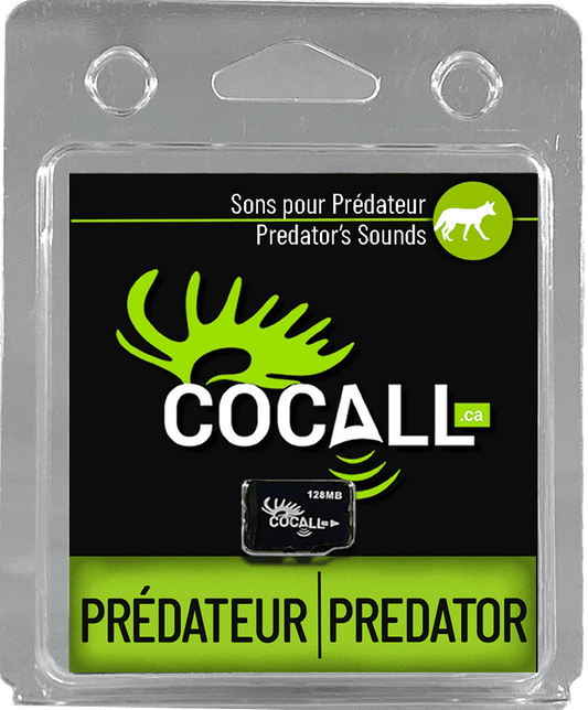 SONS POUR PRÉDATEUR / COCALL
