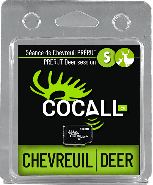 CERF DE VIRGINIE , PÉRIODE PRÉ-RUT / COCALL