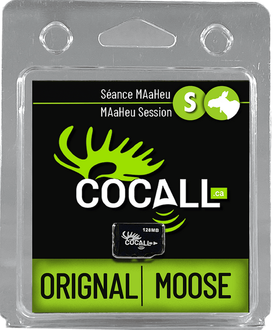 SÉANCE MAaHEU / COCALL