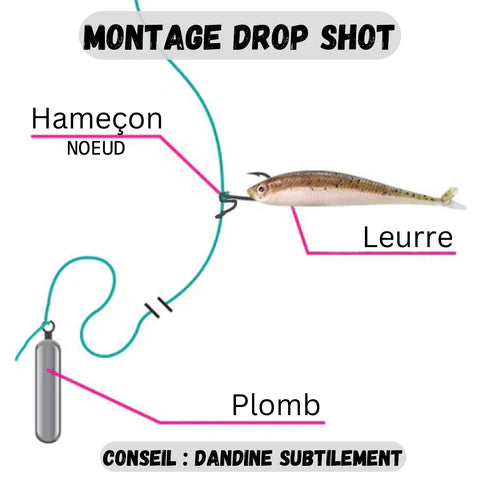 DROP SHOT HOOK  / TARGET BAITS LEURRES