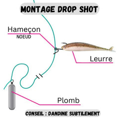 DROP SHOT HOOK  / TARGET BAITS LEURRES