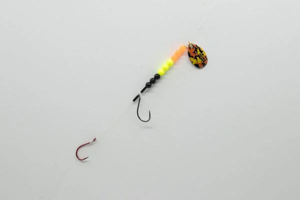 NXS EVOLUX HARNAIS A DORÉ