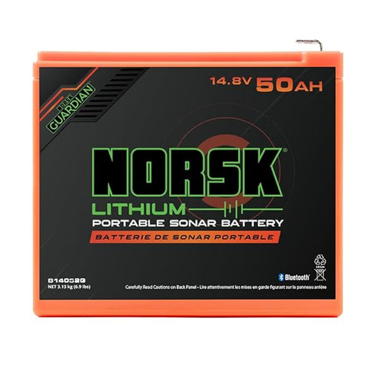 BATTERIE LITHIUM-ION 14,8V 50Ah AVEC CHARGEUR