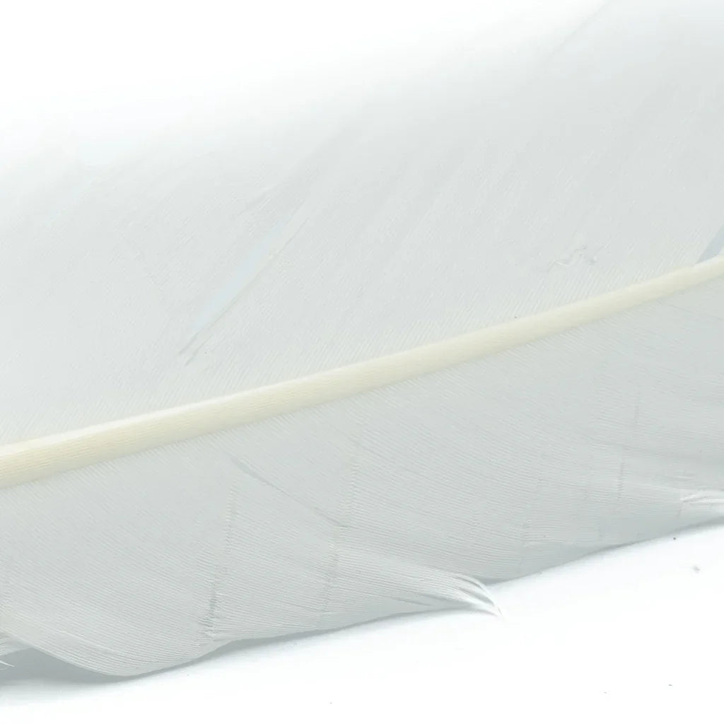 SHOR FISHING PLUMES DE DINDE