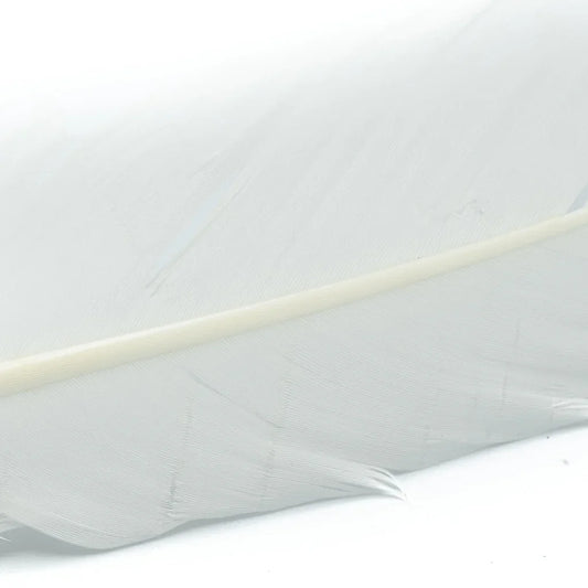 SHOR FISHING PLUMES DE DINDE