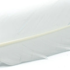 SHOR FISHING PLUMES DE DINDE