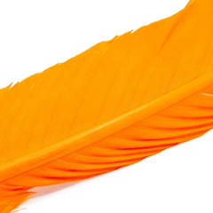 SHOR FISHING PLUMES DE DINDE