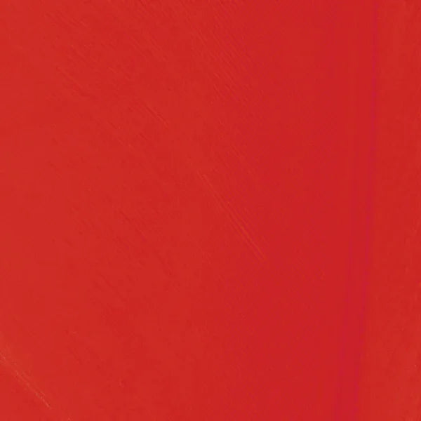 SHOR FISHNG PLUMES D'OIE