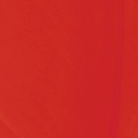 SHOR FISHNG PLUMES D'OIE