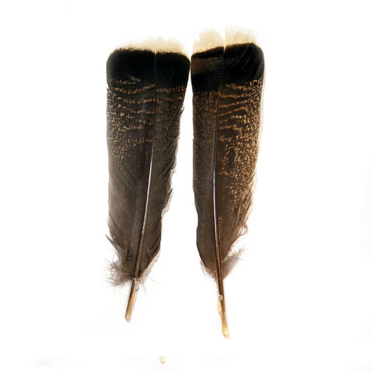 SHOR FISHING QUEUE DE DINDE