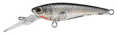 S.C. SHAD DAIWA