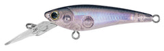 S.C. SHAD DAIWA
