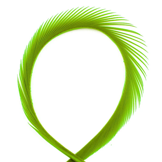 SHOR - LANIÈRES D'OIE