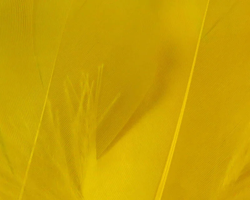 HARELINE SELECT GOOSE SHOULDER