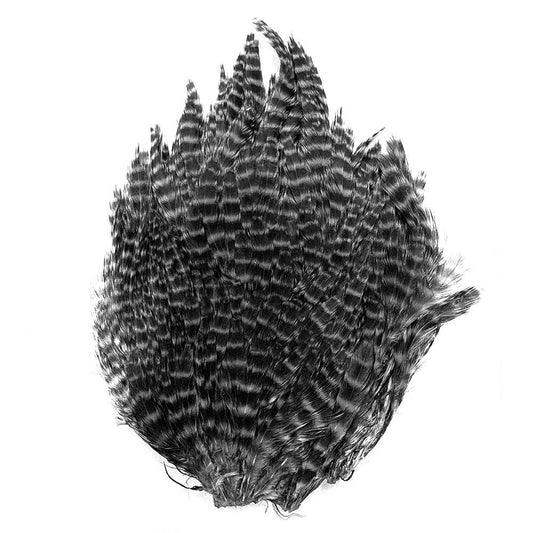 SHOR FISHING SELLEDE POULE PREMIUM