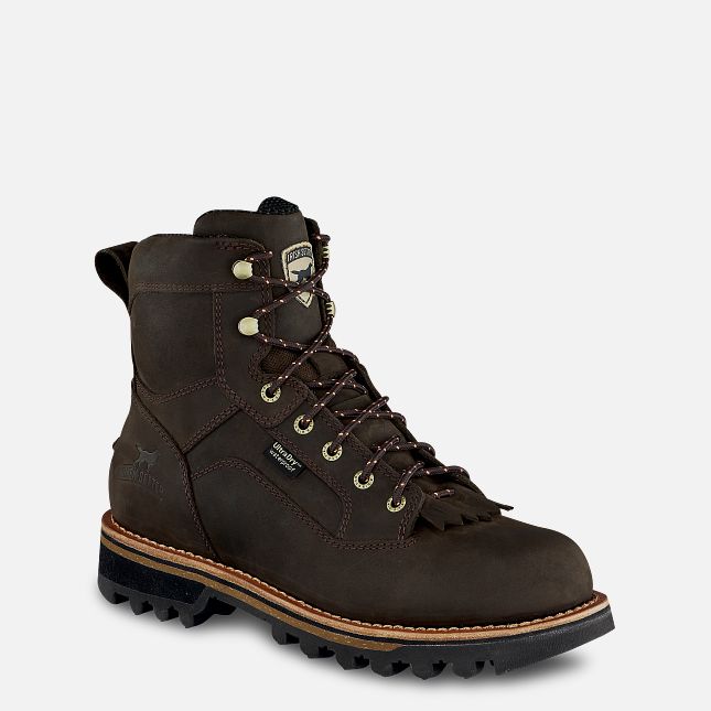 TRAILBLAZER A0878 / IRISH SETTER