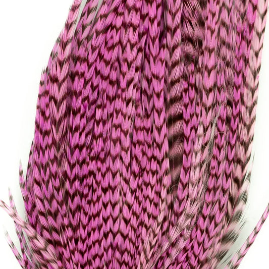 SHOR FISHING MINI PACK DE COQ GÉNÉTIQUE