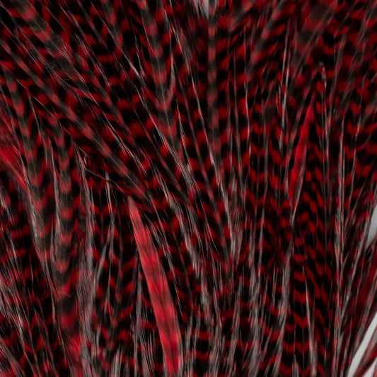 SHOR FISHING MINI PACK DE COQ GÉNÉTIQUE