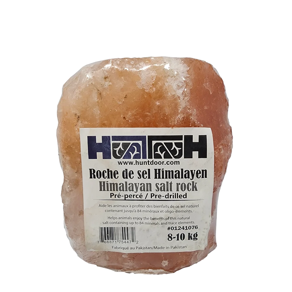 ROCHE HIMALAYEN AVEC TROU 8-10KG / HUNTDOOR