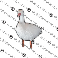 OIE DES NEIGES / SKYFALL DECOYS