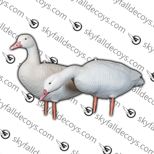 OIE DES NEIGES / SKYFALL DECOYS