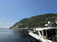 Sortie sur le fjord du Saguenay (Journée complète)