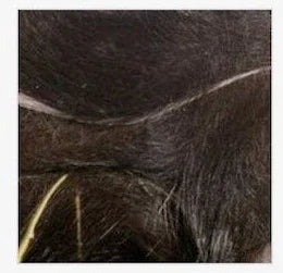 MAGNUM RABBIT STRIPS