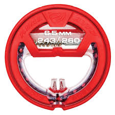 REAL AVID CLEANER .243/.260/6.5mm / BORE BOSS