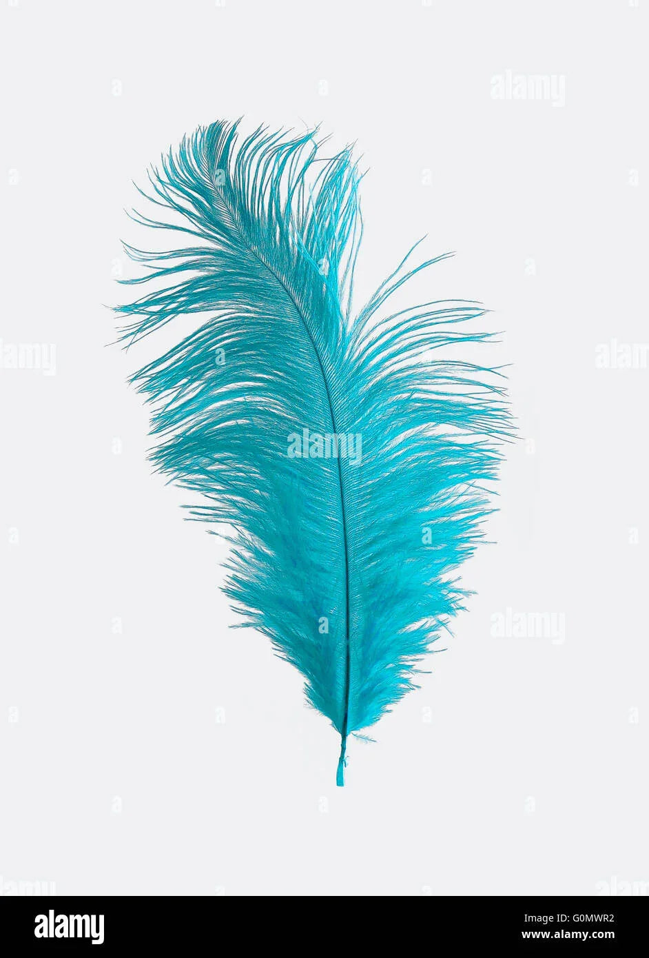 OSTRICH HERL BLUE ( plume d'autruche )