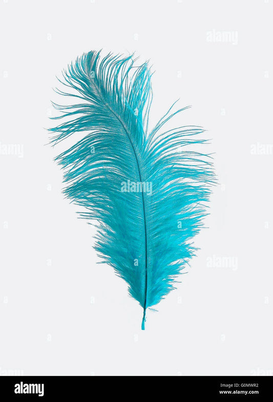 OSTRICH HERL BLUE ( plume d'autruche )