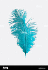 OSTRICH HERL BLUE ( plume d'autruche )