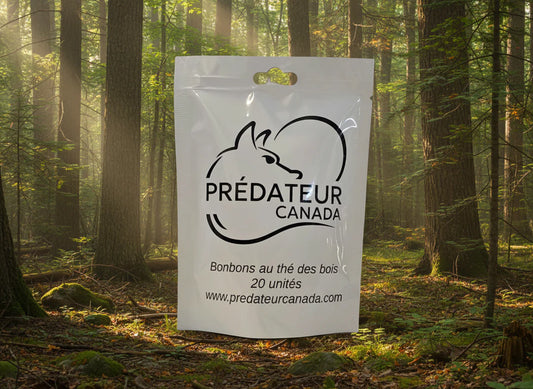BONBON THÉ DES BOIS / PRÉDATEUR