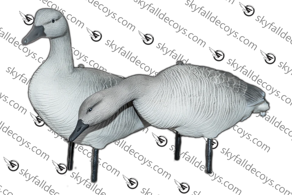 OIE JUVÉNILE / SKYFALL DECOYS