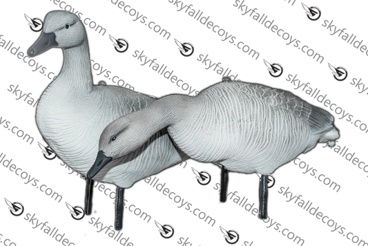 OIE JUVÉNILE / SKYFALL DECOYS