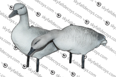 OIE JUVÉNILE / SKYFALL DECOYS