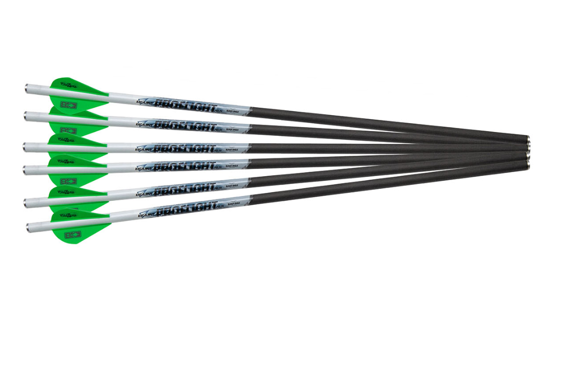 FLÈCHES DE CARBONE PROLIGHT 16,5”