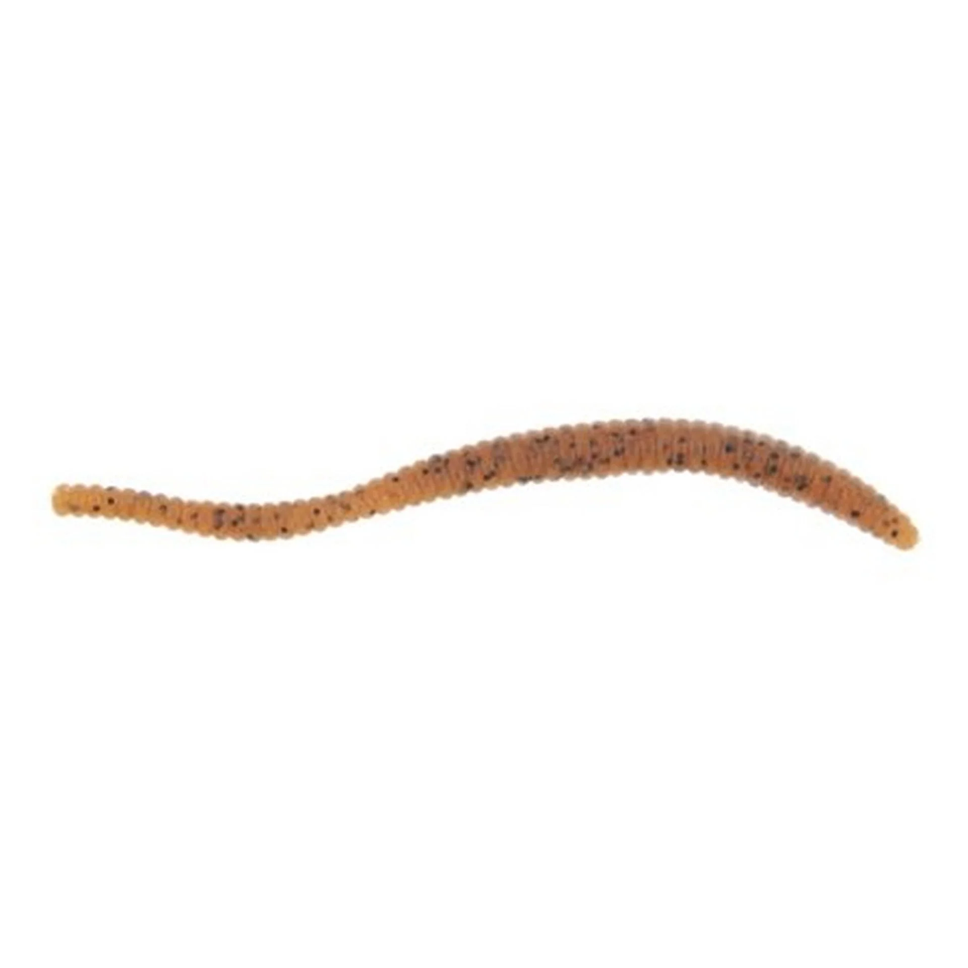 Power Trout Worm-PowerBait - Pumpkinseed