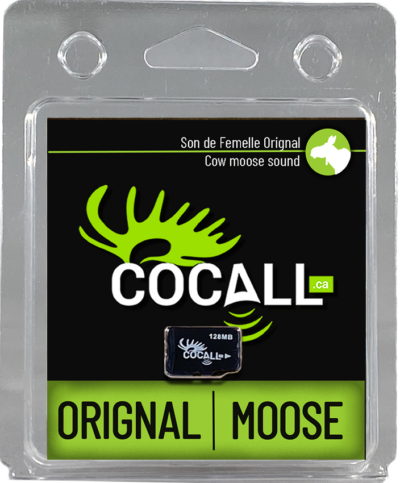 COCALL FEMELLE ORIGNAL