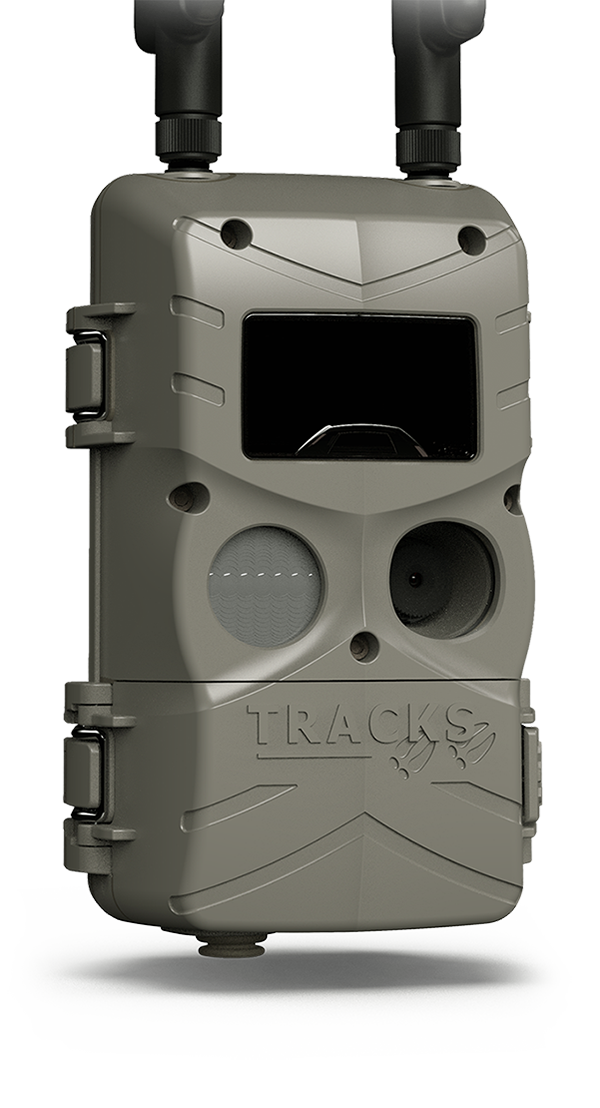 Tracks CuddeBack